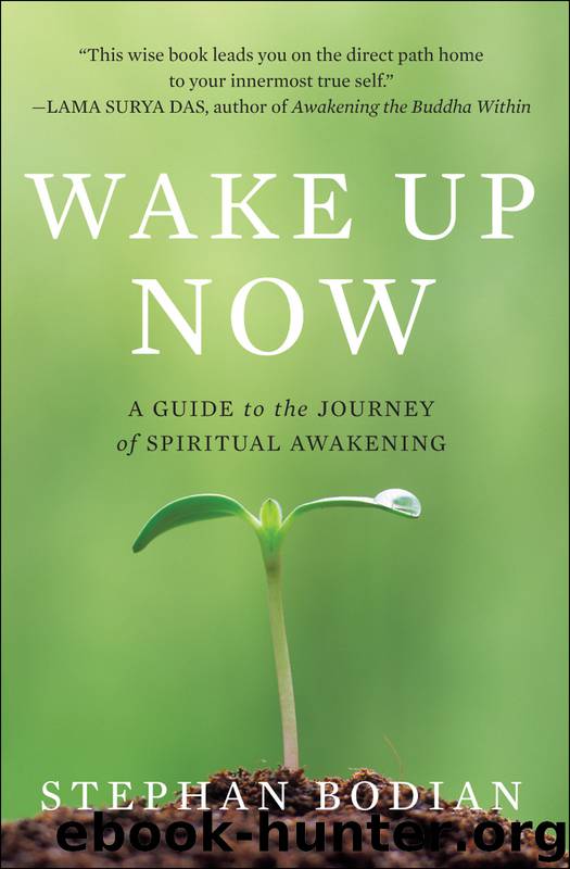 Wake Up Now by Stephan Bodian
