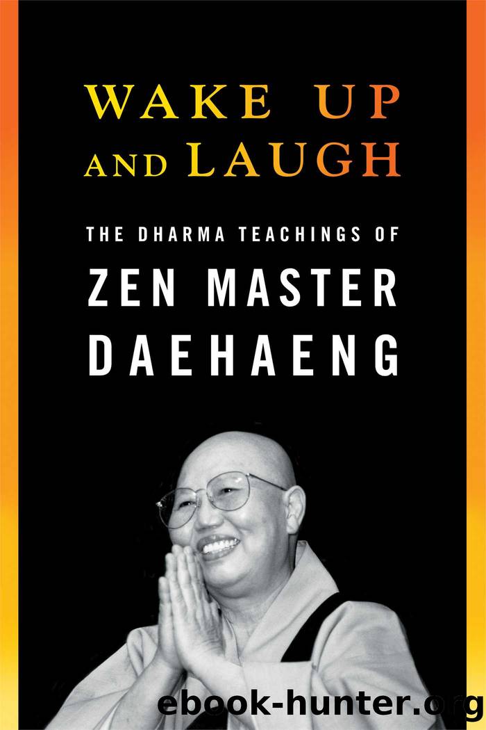 Wake Up and Laugh by Daehaeng