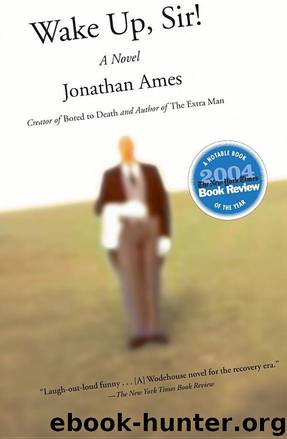 Wake Up, Sir! by Jonathan Ames