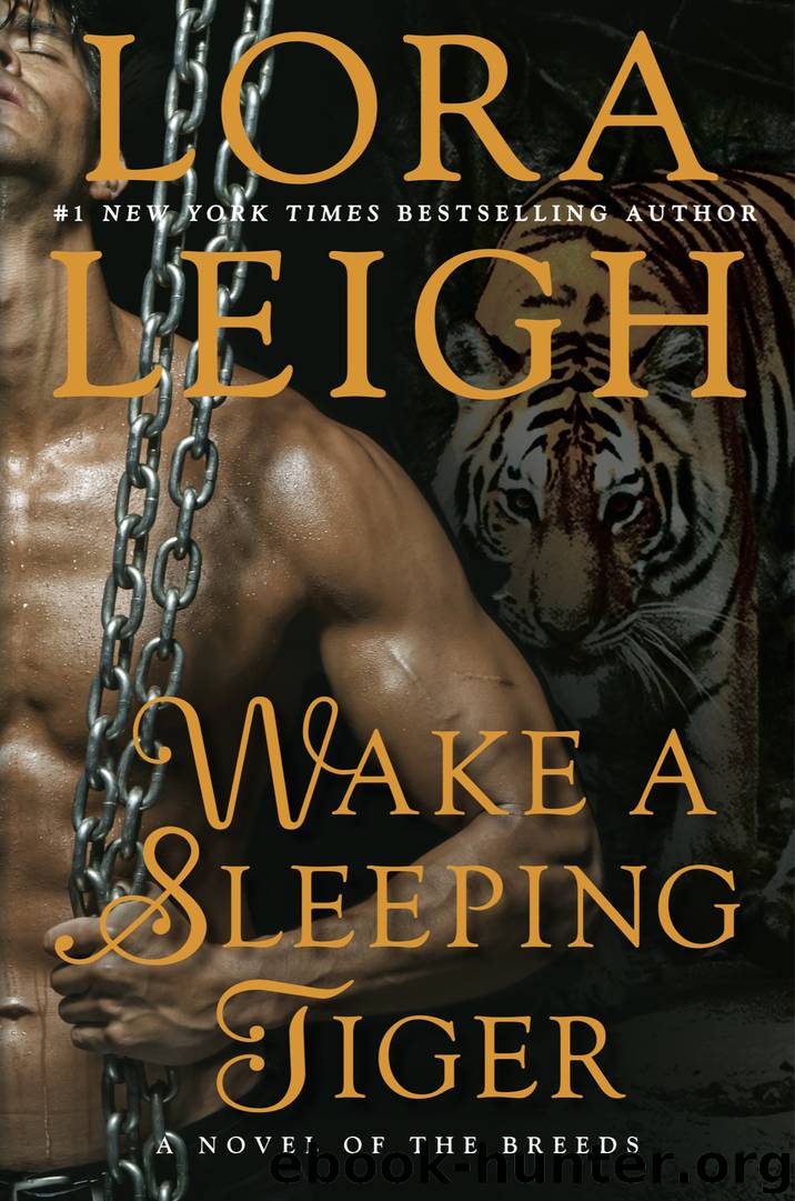 Wake a Sleeping Tiger by Lora Leigh