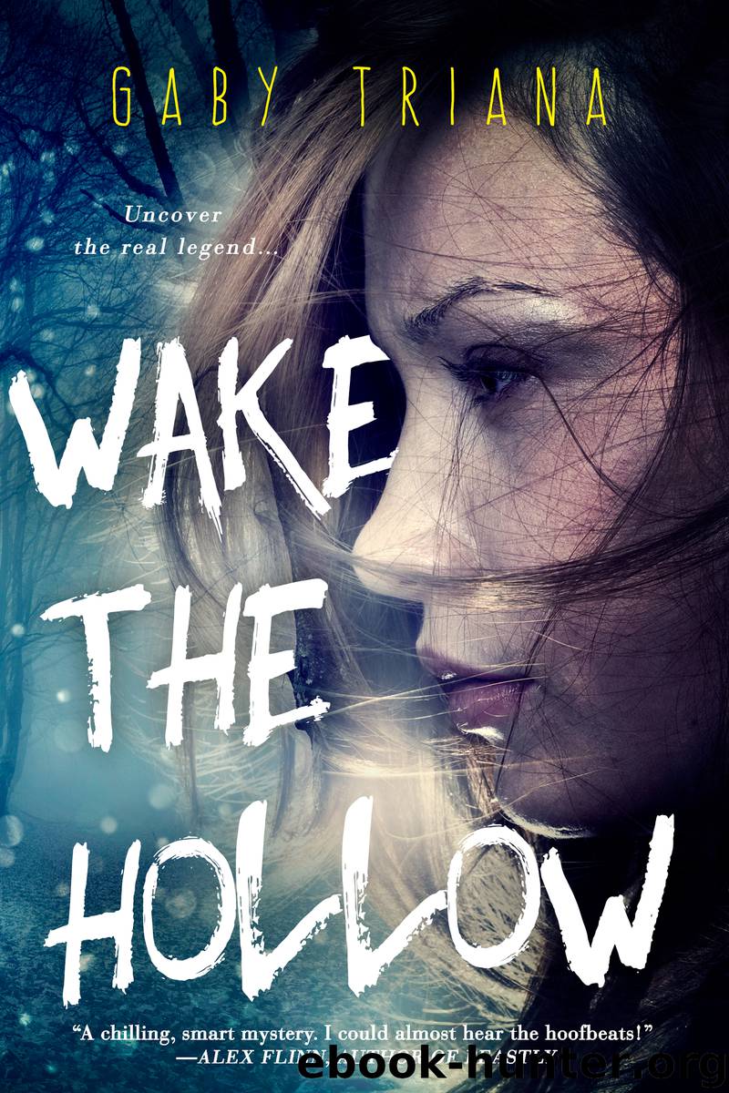 Wake the Hollow by Gaby Triana