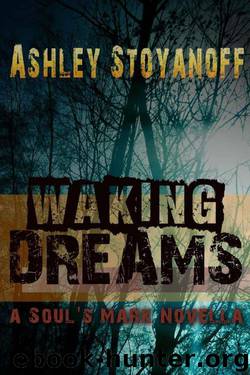 Waking Dreams (The Soul's Mark) by Ashley Stoyanoff