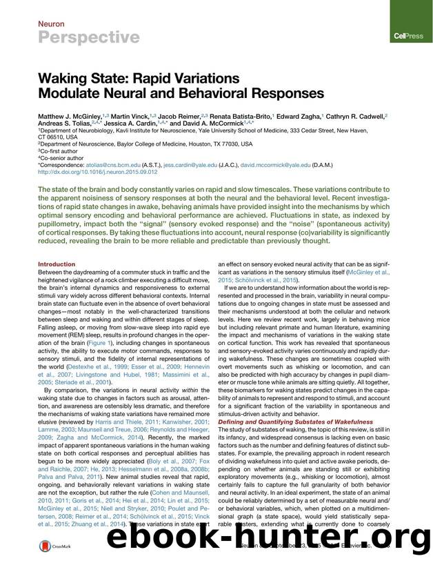 Waking State: Rapid Variations Modulate Neural and Behavioral Responses by unknow