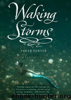 Waking Storms by Sarah Porter