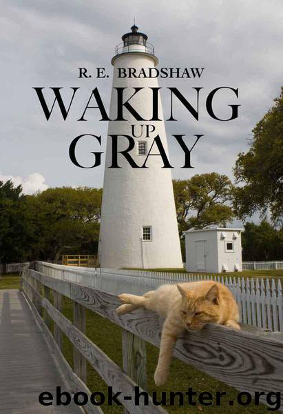 Waking Up Gray by R.E. Bradshaw