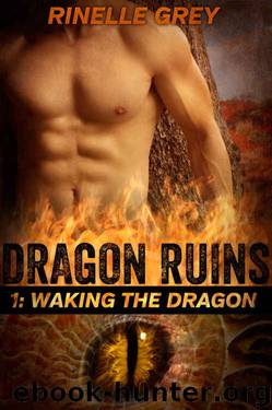Waking the Dragon by Rinelle Grey