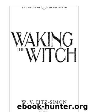 Waking the Witch by W. V. Fitz-Simon