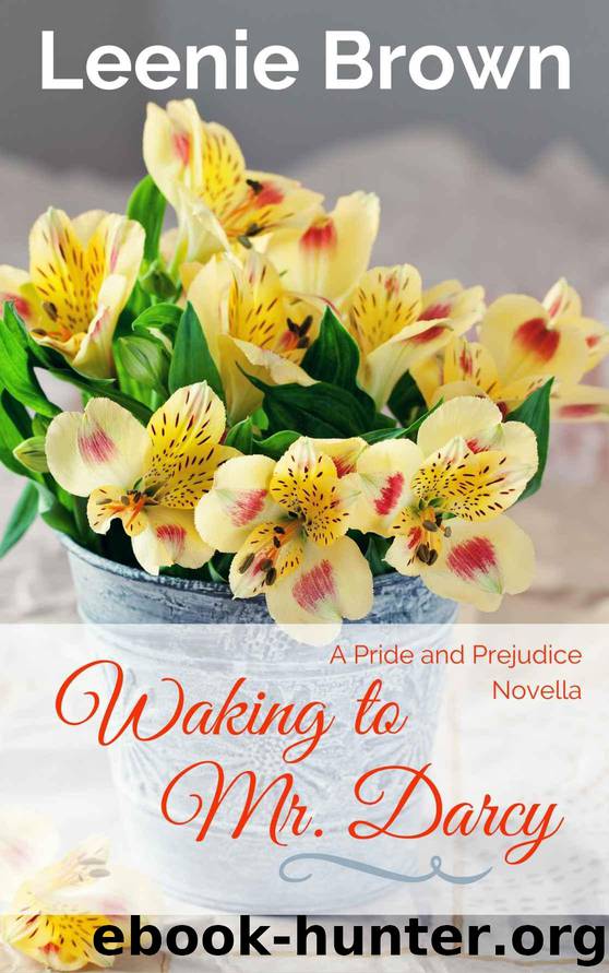 Waking to Mr. Darcy: A Pride and Prejudice Novella by Brown Leenie & a Lady