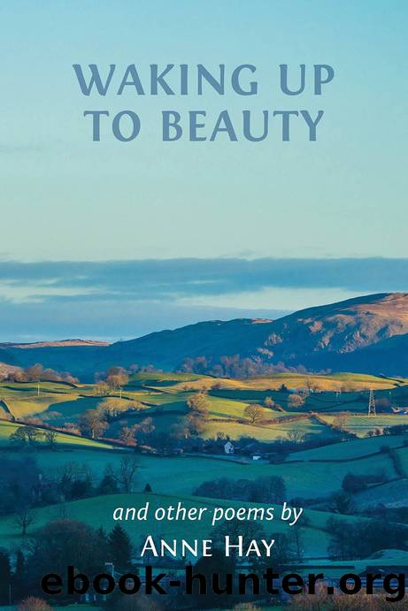 Waking up to Beauty by Anne Hay