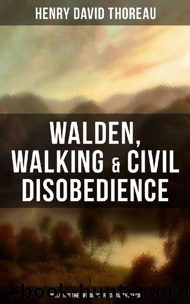 Walden, Walking & Civil Disobedience (Including The Life of Henry David Thoreau) by Henry David Thoreau
