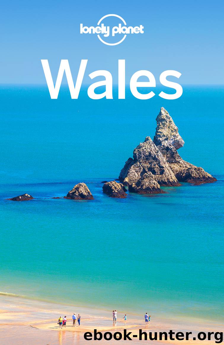 Wales 6 by Lonely Planet