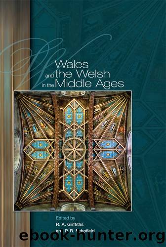 Wales and the Welsh in the Middle Ages by Ralph A. Griffiths Phillipp R. Schofield