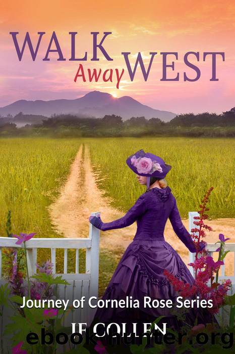 Walk Away West by J.F. Collen