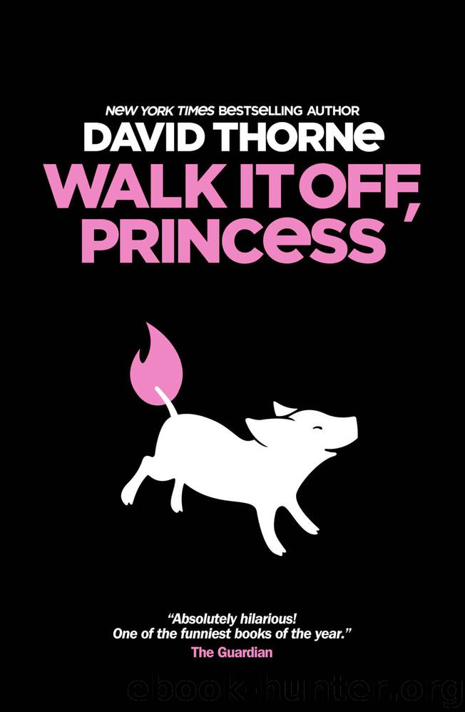 Walk It Off, Princess by David Thorne