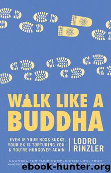 Walk Like a Buddha by Lodro Rinzler