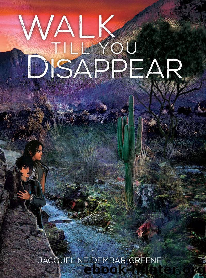 Walk Till You Disappear by Jacqueline Dembar Greene