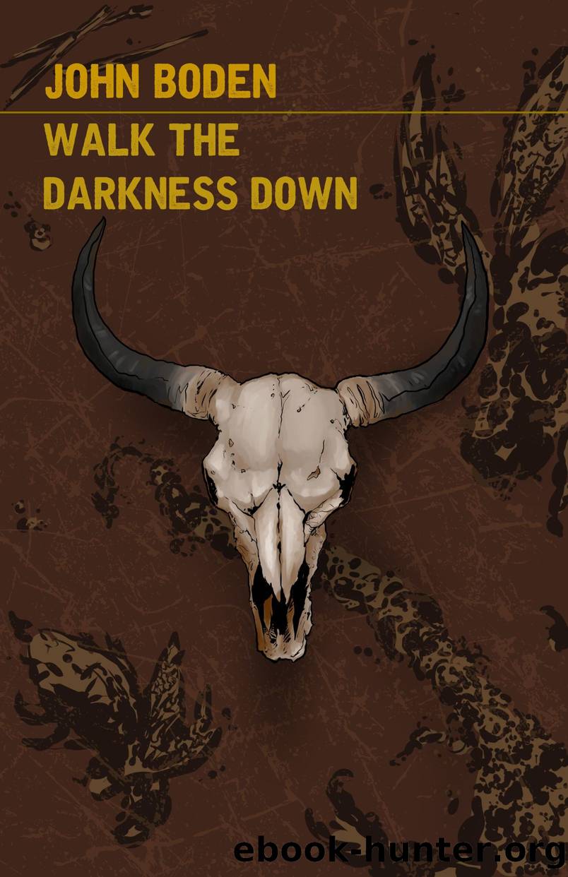 Walk the Darkness Down by John Boden