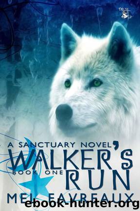 Walker's Run by Mel Favreaux