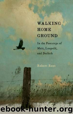Walking Home Ground by Robert Root