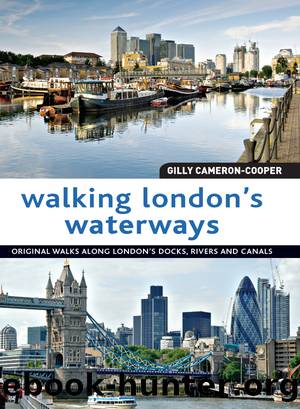 Walking London's Waterways: Great Routes for Walking, Running and Cycling Along Docks, Rivers and Canals by Gilly Cameron-Cooper