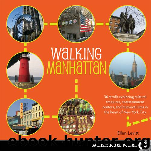 Walking Manhattan by Ellen Levitt