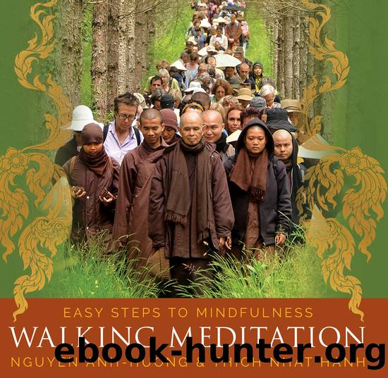 Walking Meditation by Thich Nhat Hanh