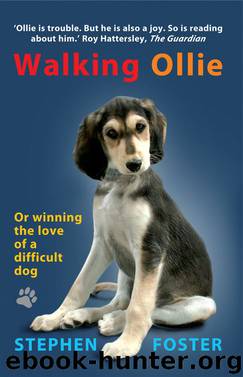 Walking Ollie by Stephen Foster
