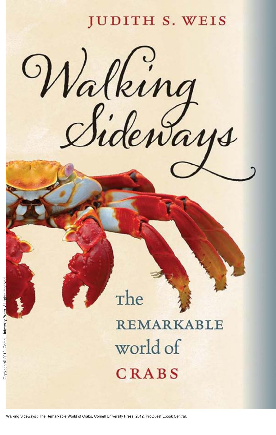 Walking Sideways : The Remarkable World of Crabs by Judith S. Weis