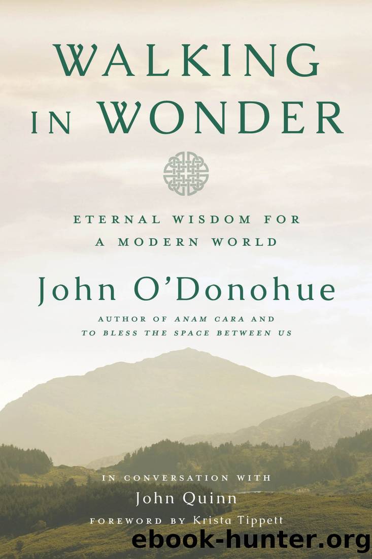 Walking in Wonder by John O'Donohue & John Quinn