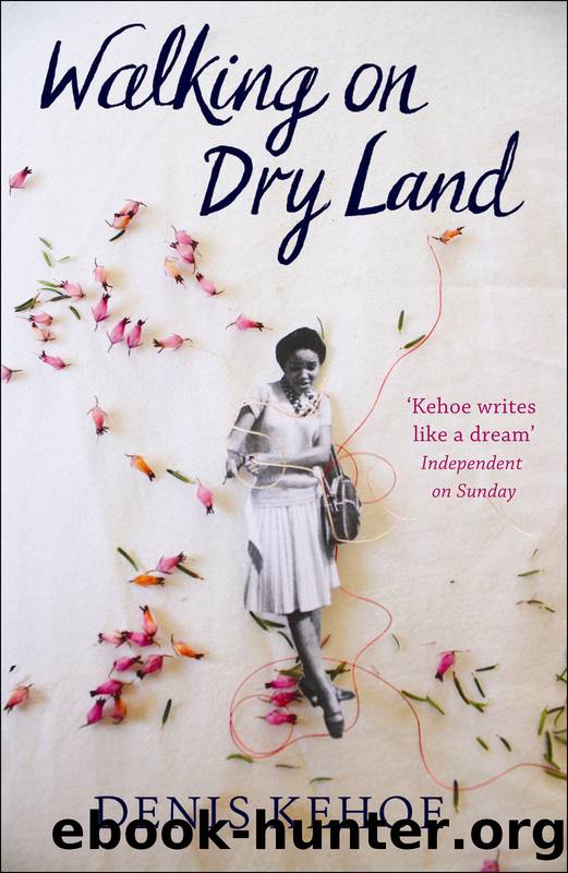 Walking on Dry Land by Denis Kehoe