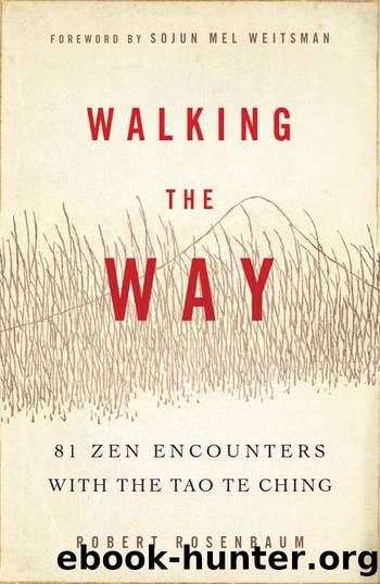Walking the Way by Robert Rosenbaum