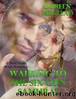 Walking to the Six Gun Samurai: A Mail Order Bride Romance by Doreen Milstead