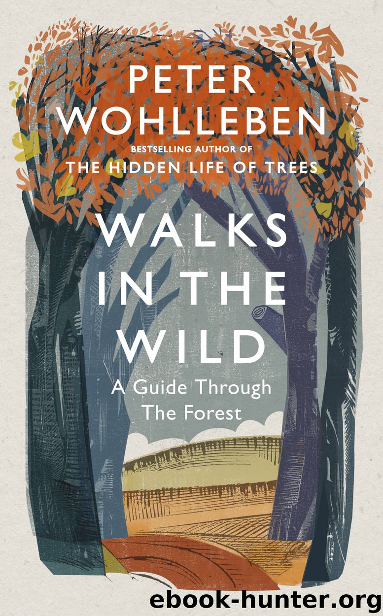Walks in the Wild by Peter Wohlleben