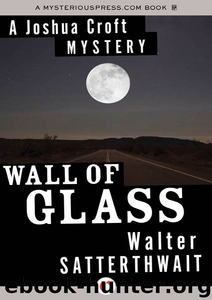 Wall of Glass by Walter Satterthwait
