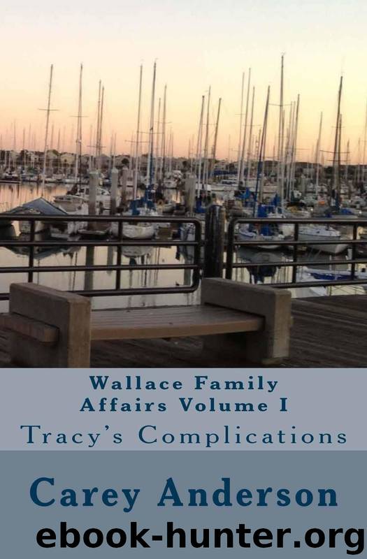 Wallace Family Affairs Volume I by Carey Anderson