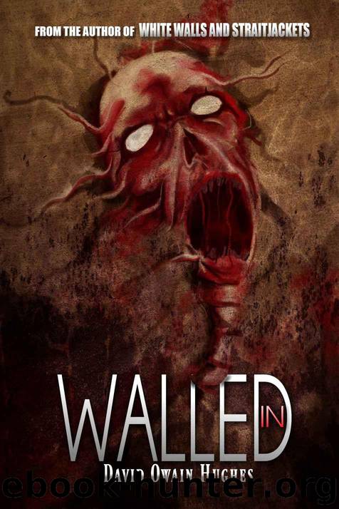Walled In by Hughes David Owain