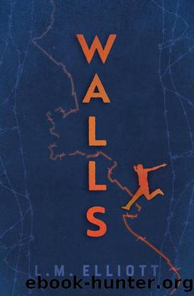 Walls by L. M. Elliott