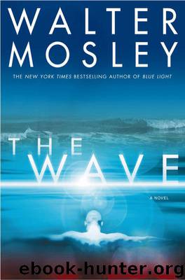 Walter Mosley by The Wave