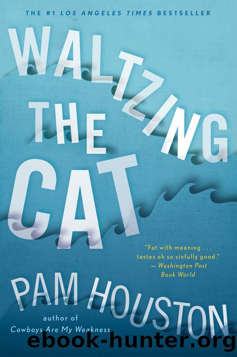 Waltzing the Cat by Pam Houston