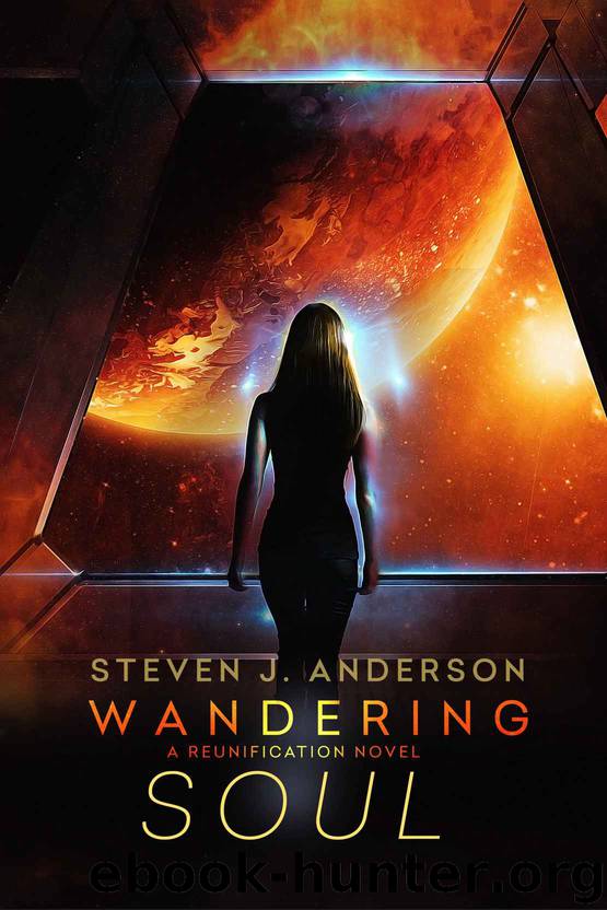 Wandering Soul by Steven Anderson