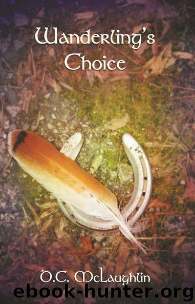 Wanderling's Choice by D C McLaughlin