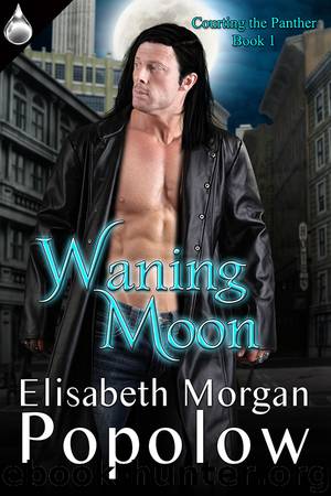 Waning Moon by Elisabeth Morgan Popolow