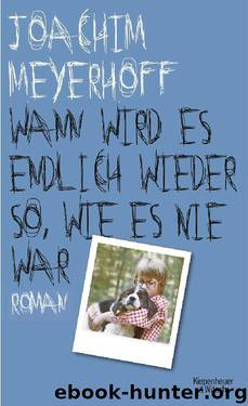 Wann wird es endlich wieder so, wie es nie war by Meyerhoff Joachim