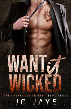 Want It Wicked: A Broody Billionaire Romance (The Breakaleg Trilogy Book 3) by JC Jaye