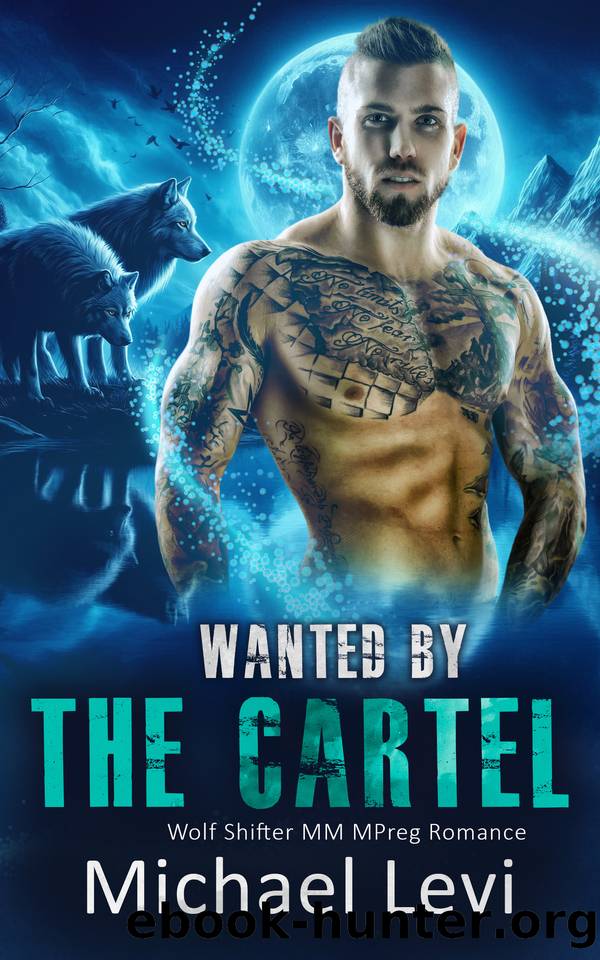 Wanted by the Cartel: Wolf Shifter MM MPreg Romance by Michael Levi