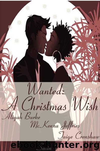 Wanted: A Christmas Wish by Burke Aliyah