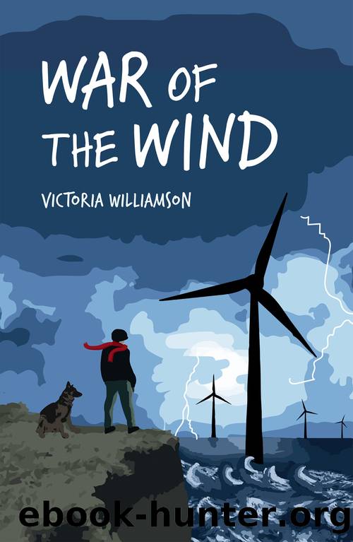 War of the Wind by Victoria Williamson