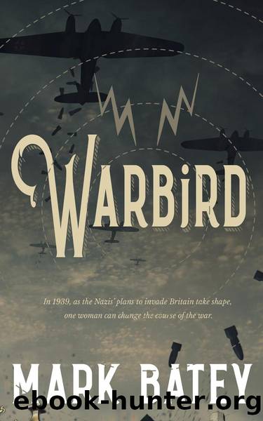 Warbird by Mark Batey