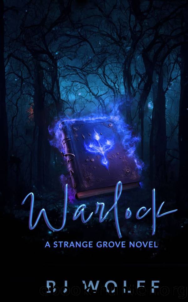 Warlock: A Strange Grove Novel by BJ Wolff