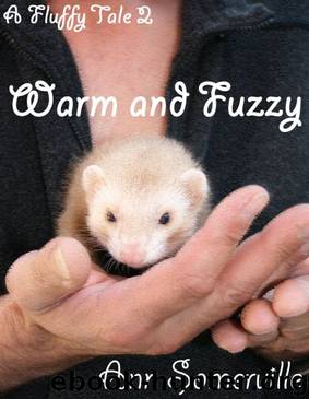 Warm and Fuzzy by Ann Somerville